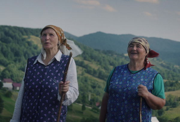 Konkurs Nowe Filmy Polskie