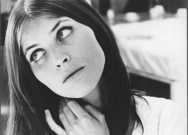 Big Docs: Northern Lights