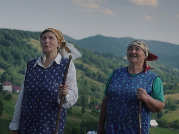 Konkurs Nowe Filmy Polskie