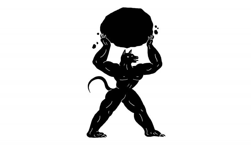 FESTIWALOWY PRINT x SELFISZ (benefit na pieski)