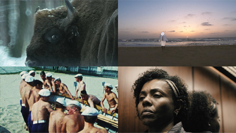 WATCH SHORTS 1 (set)