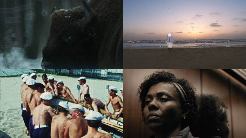 WATCH SHORTS 1 (zestaw)