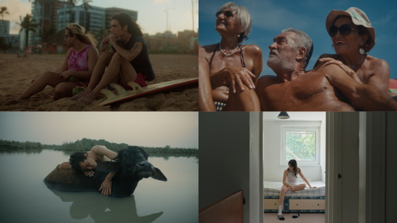 WATCH SHORTS 2 (set)