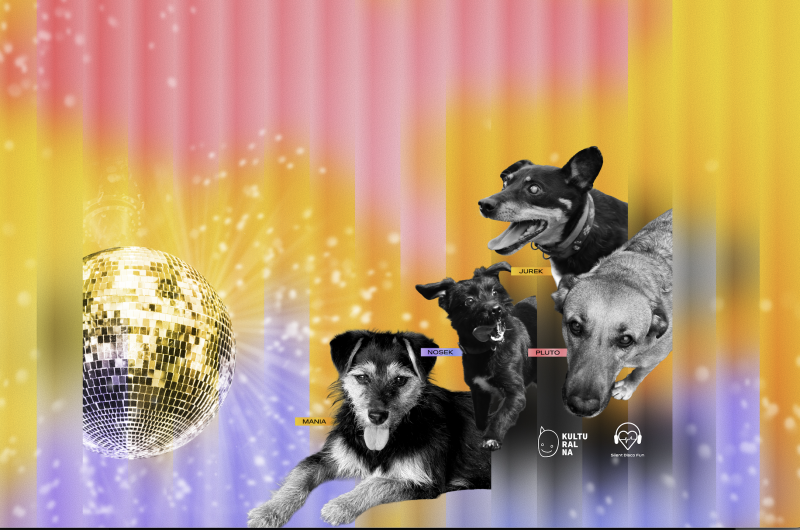 SILENT PSISKO - impreza otwarcia 25. MFF WATCH DOCS