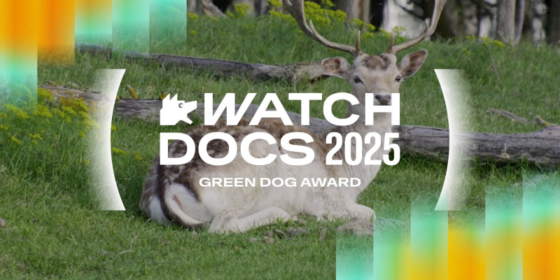 Screening of the winning film in the Green Dog Competition – Divia