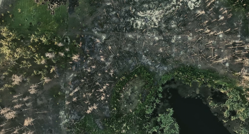 Ecocide: When Earth Becomes a Battlefield – panel discussion